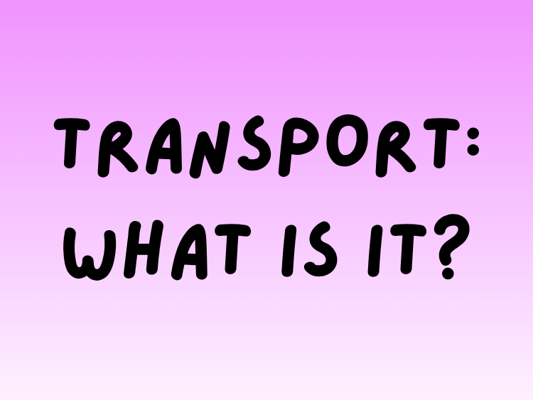 Play Transport: What Is It? English game on Baamboozle (opens in a new tab)